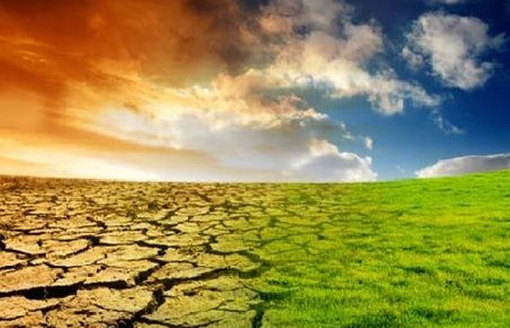 AVPN showcases climate leadership of Godrej and Wipro through two new videos